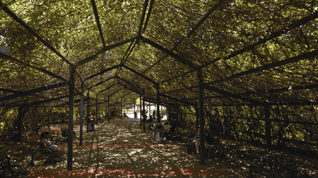 Horticulture Hallways: 5 Theme Parks Throwing Shade, In A Good Way