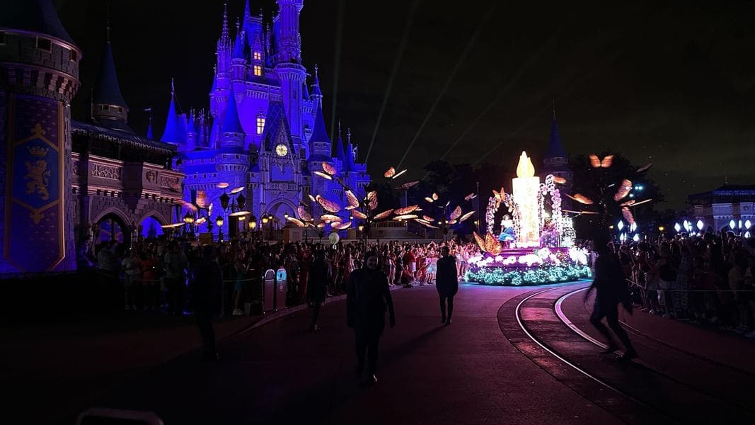 Guest Performs Chest Compressions on Man Who Collapsed During Parade at Walt Disney World