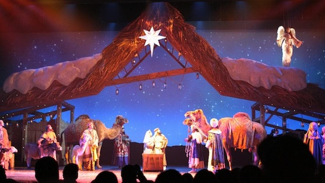 Photo Finds: SeaWorld Orlando Christmas and new nativity show – Dec. 13, 2011
