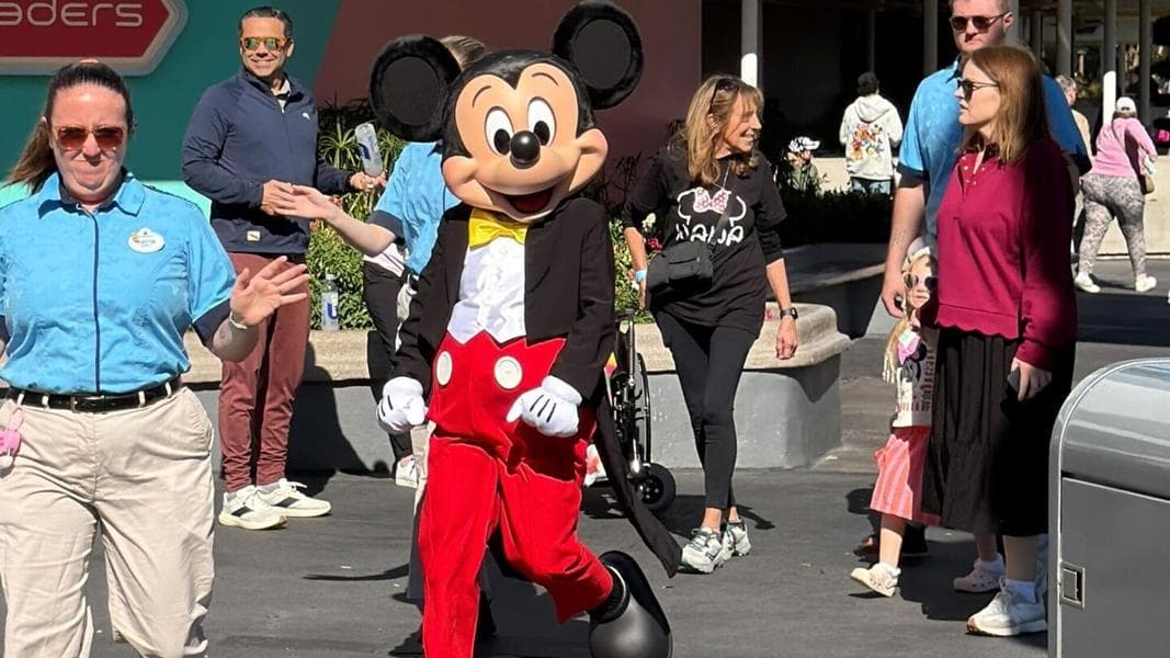 Mickey Mouse & Donald Duck Roaming in Magic Kingdom