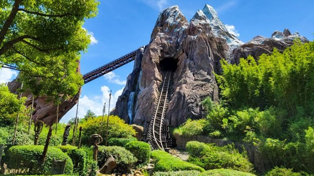 The One Disney World Ride Where You Can’t Avoid Disney Adults