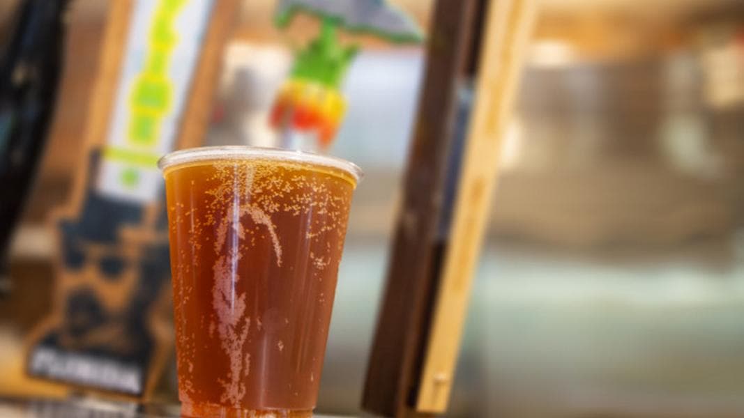 Find Out How to Score FREE BEER at SeaWorld Orlando this Summer!