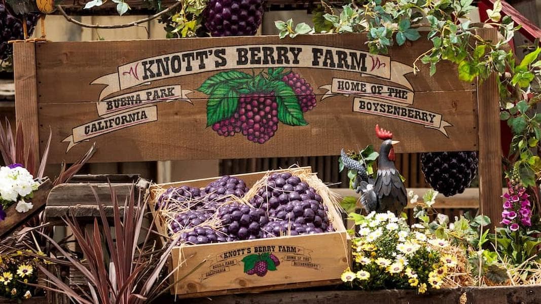 Rope Drop: It's springtime for theme parks