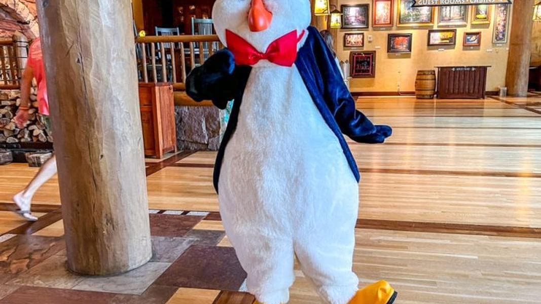 Wilderness Lodge vs. Yacht Club Disney World Resort Guide