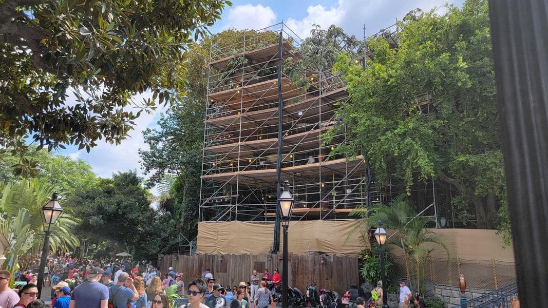 No Clear Progress Made on Former Tarzan’s Treehouse After Tarps Removed at Disneyland