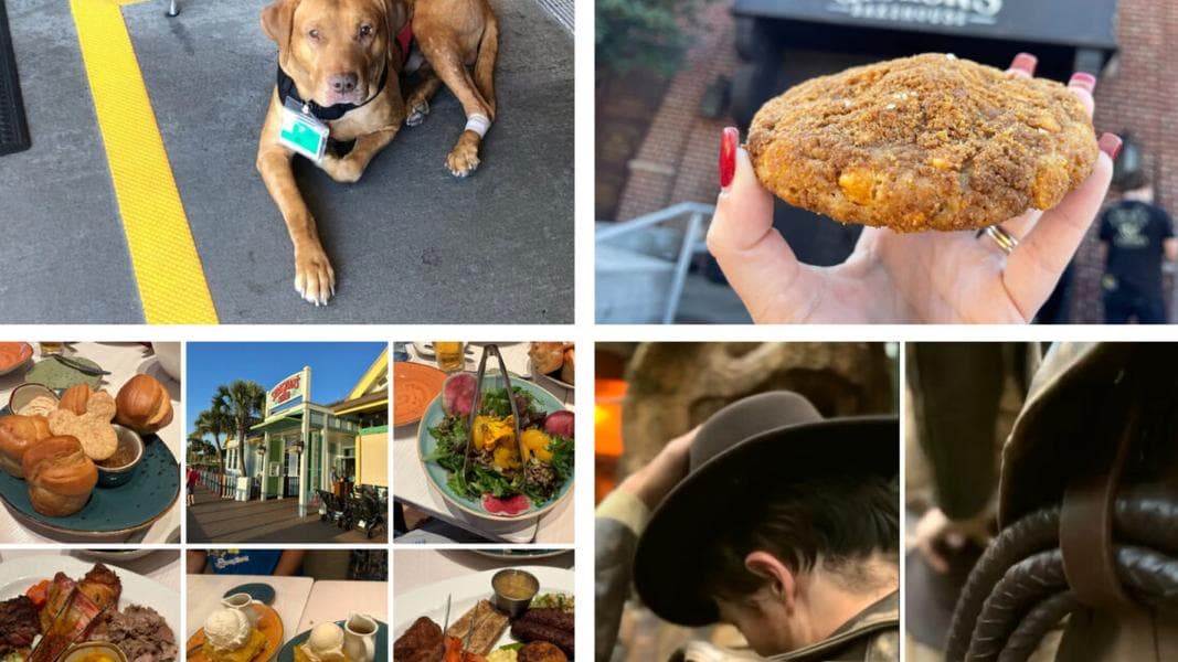 Cast Member and Service Dog Save Guest at Disney’s Hollywood Studios, Indiana Jones Making a Limited Time Appearance at Disneyland, & More: Daily Recap (6/22/23)