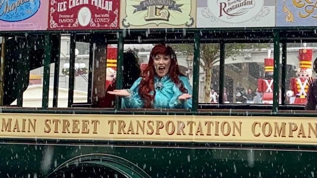PHOTOS, VIDEO: Disney Princesses Appear in a Rainy Day Christmas Cavalcade at the Magic Kingdom