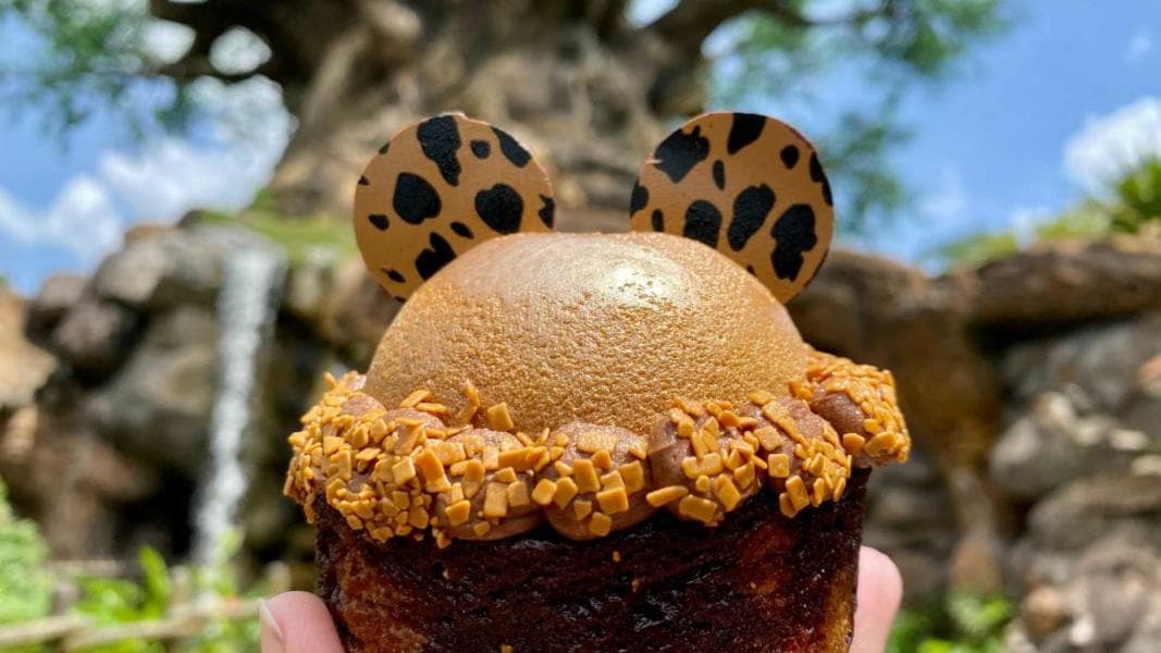 PHOTO REPORT: Magic Kingdom & Disney’s Animal Kingdom 5/19/21 (MagicBand Prices Increase, New Villains Magnets & Phone Cases Arrive, Cheetah Mocha Mousse Brookie, and More)