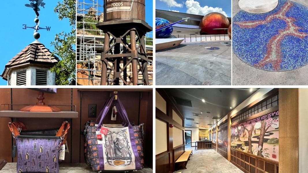 Br’er Rabbit Weathervane Holding On & Green Moss Spreading at Tiana’s Bayou Adventure, Mars Rover Tracks Disappear at Mission: SPACE, & More: Daily Recap (8/6/23)