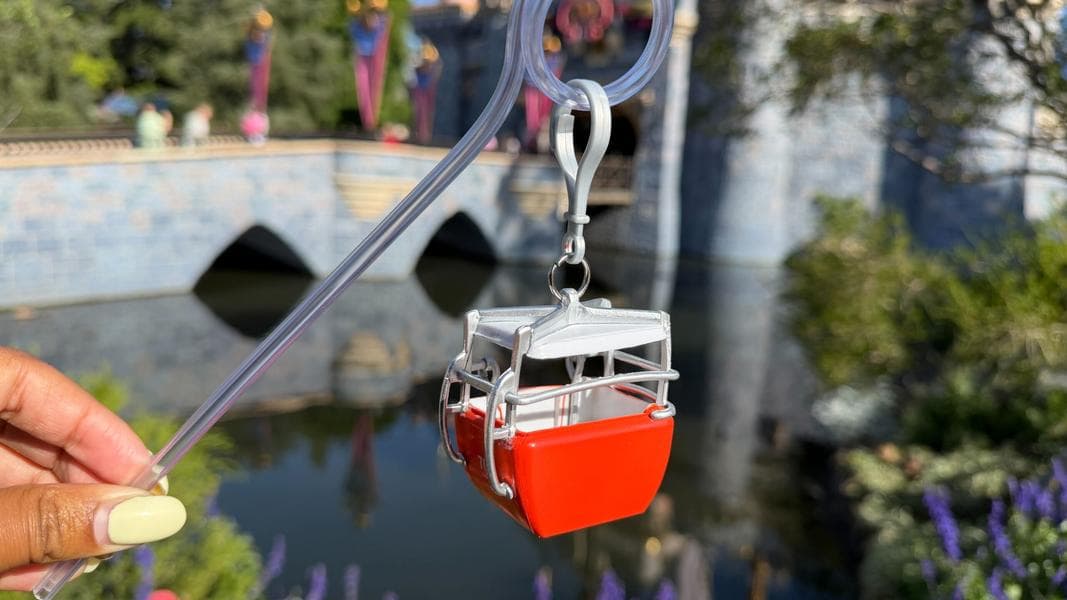 PHOTOS: Skyway Straw Clip Arrives at Disneyland Resort