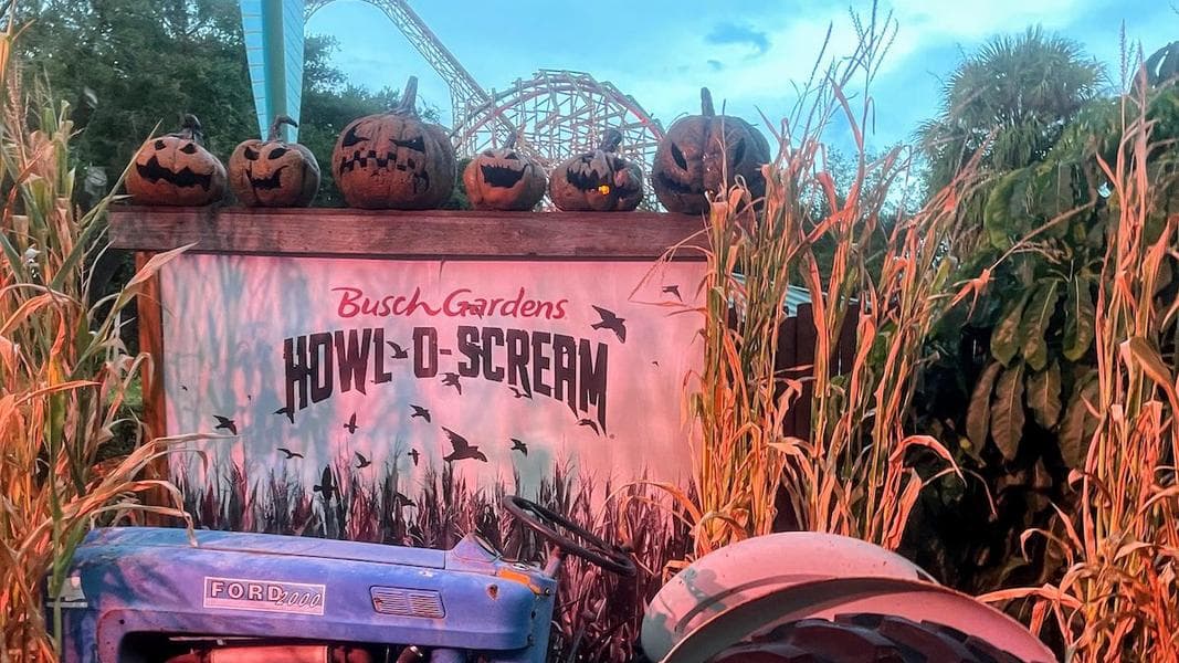 Reviews, rankings for all haunted houses at Howl-O-Scream 2025 at Busch Gardens Tampa Bay