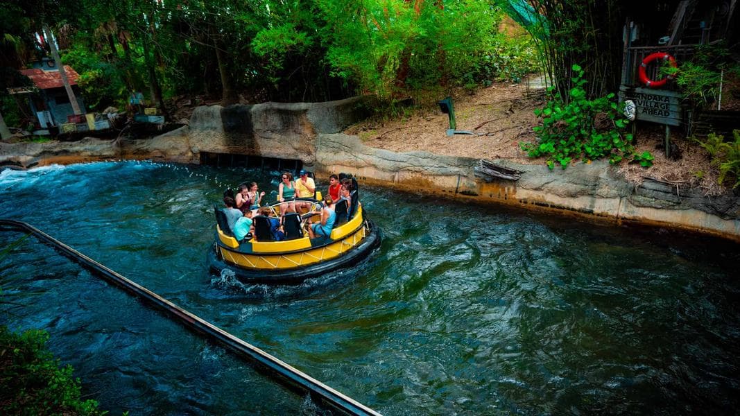 Top Things to do at Busch Gardens Tampa Bay for Non-Roller Coaster Riders