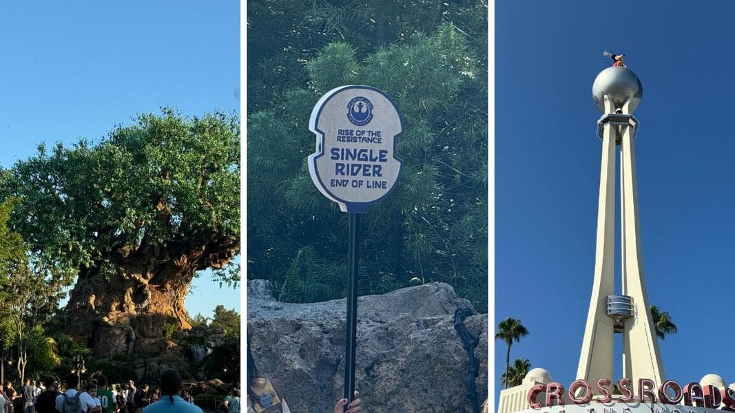 PHOTO REPORT: Disney’s Animal Kingdom and Hollywood Studios 9/21/2024 (Rise of the Resistance Single Rider, New ‘Lion King’ Merch, & More)