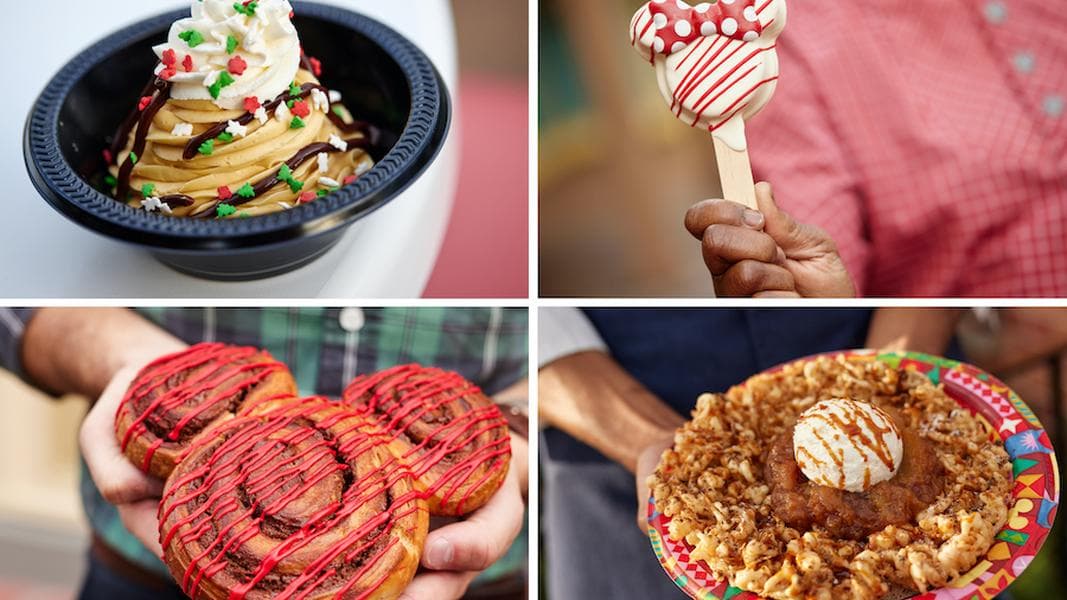 Full List of 2021 Christmas & Holiday Food & Drinks Released for Walt Disney World Resort
