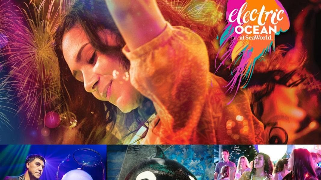 SeaWorld Orlando’s Electric Ocean Brings the Night to Life This Summer