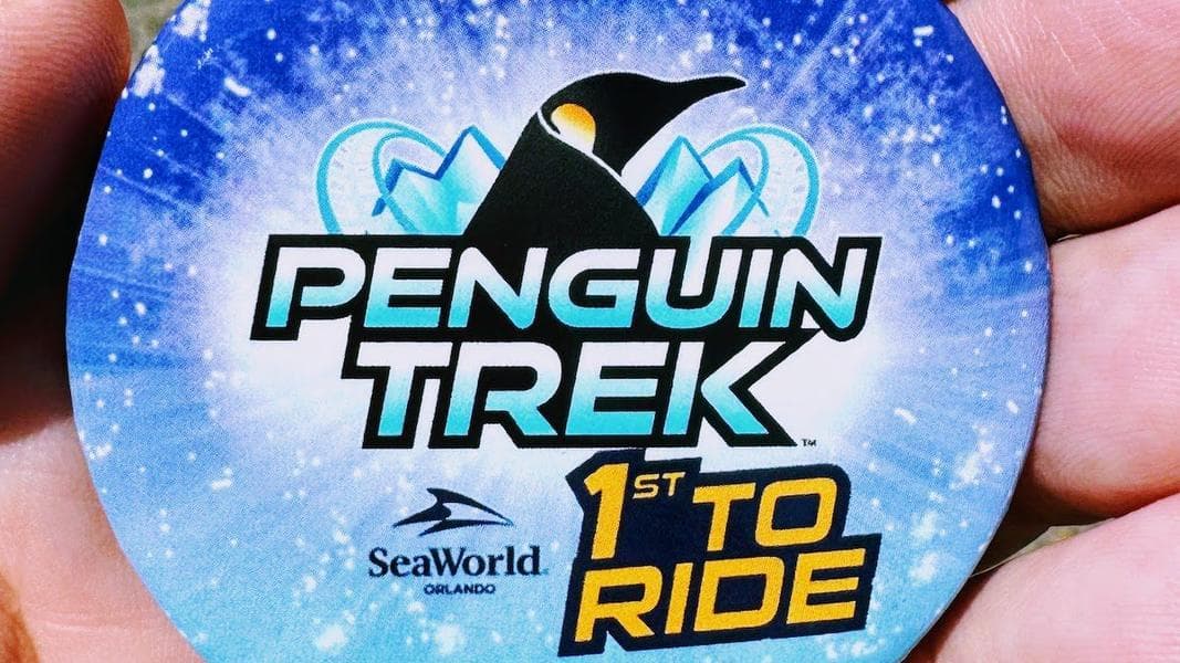 Penguin Trek POV and more videos of new SeaWorld Orlando roller coaster