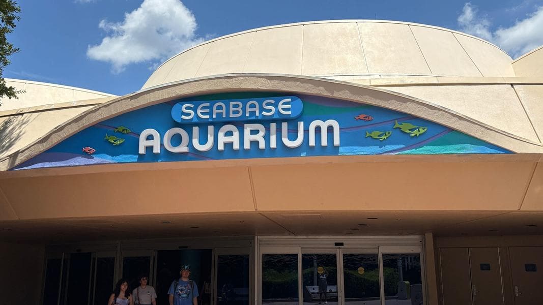 VP At Disney Shares Facts About The Seas In Honor Of 40th Anniversary