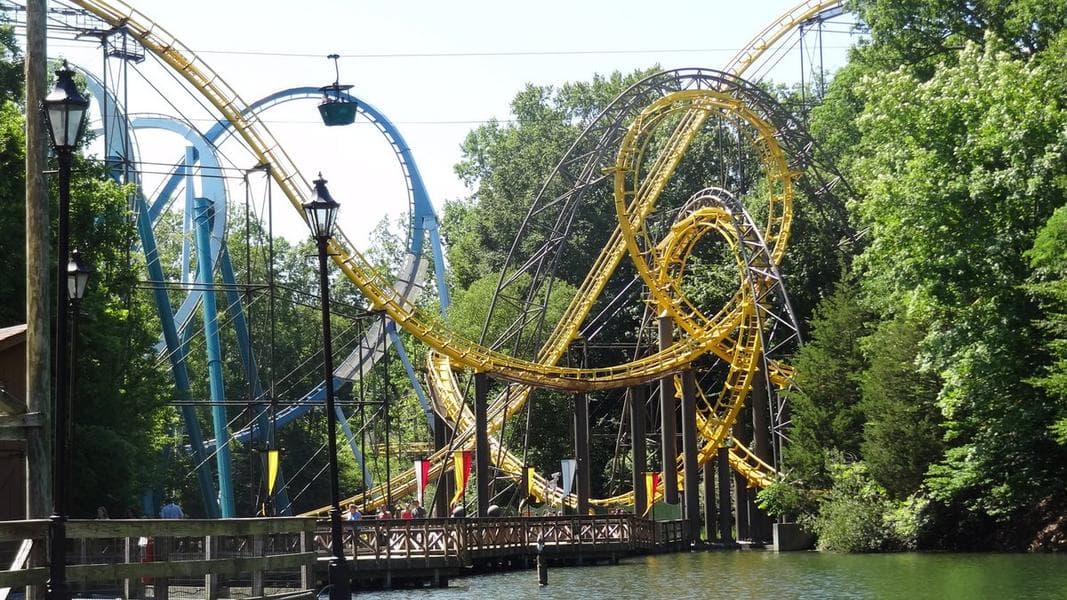 Busch Gardens Williamsburg Coasters Reviewed