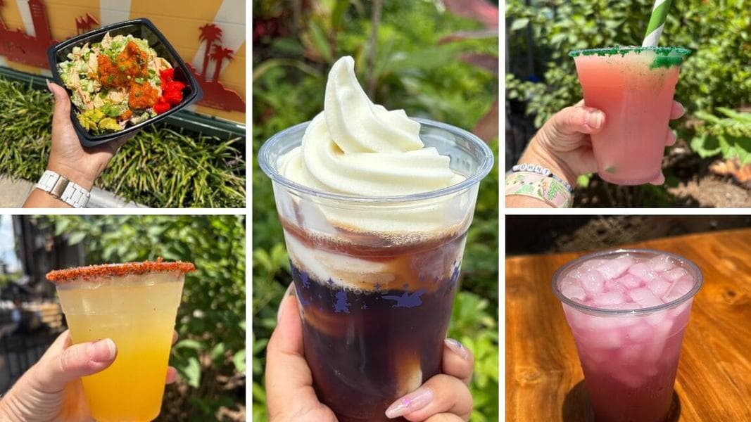 REVIEW: New Hot Honey Buffalo Chicken Salad, Cold Brew Float, and Margaritas at Disney’s Hollywood Studios for Summer 2025
