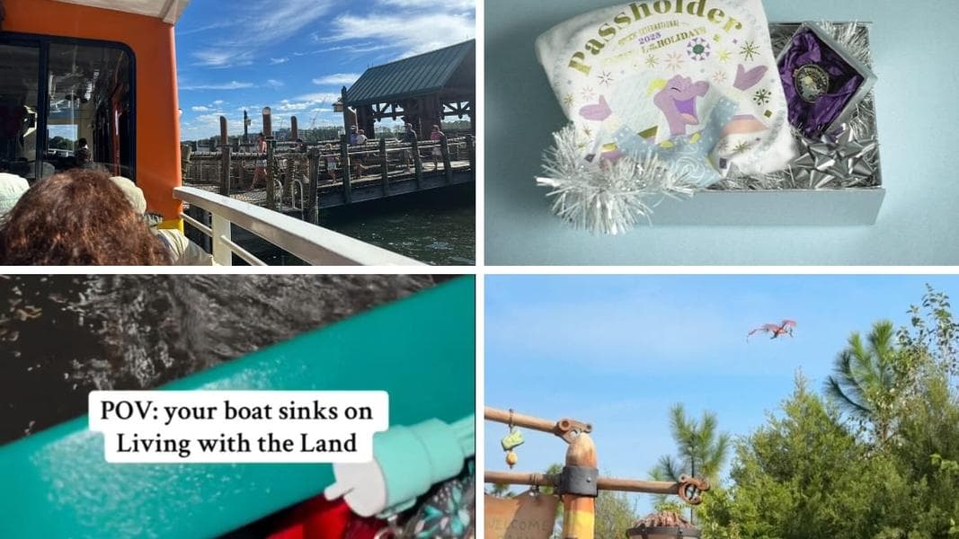 Disney’s Wilderness Lodge Boat Service Suspended in Today’s Daily Recap for 11/29/25