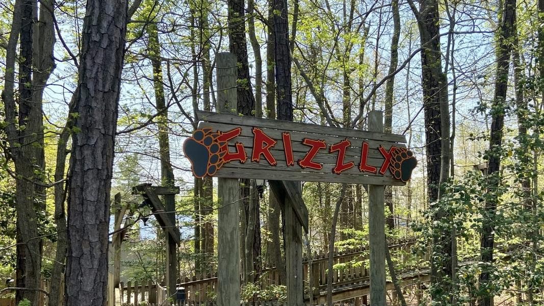Kings Dominion retracking Grizzly for 2023