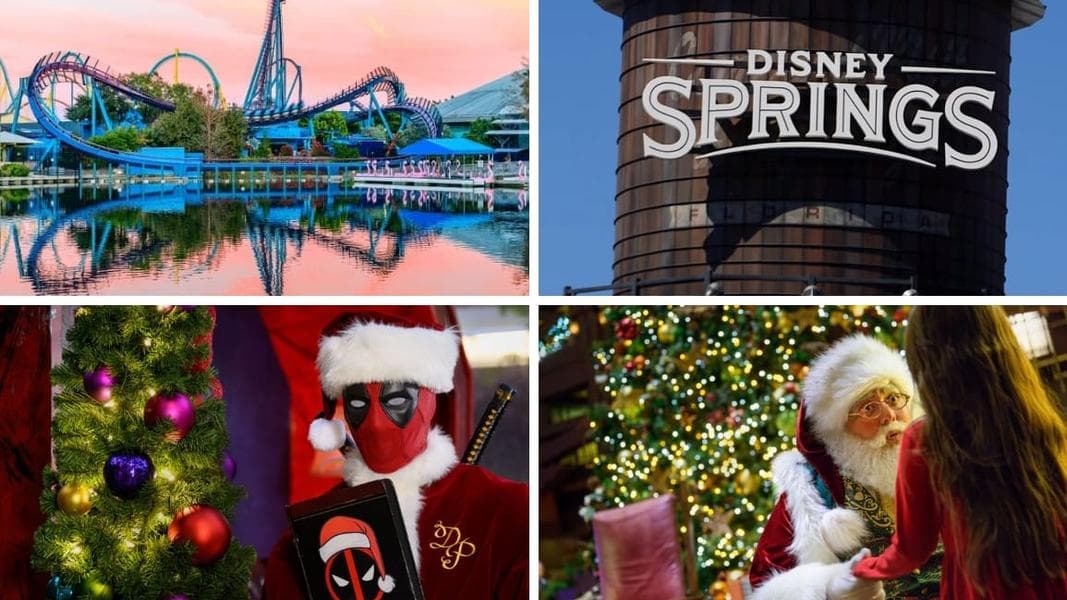 Duck Knocks Coaster Rider Unconscious: Daily Recap (10/30/25)