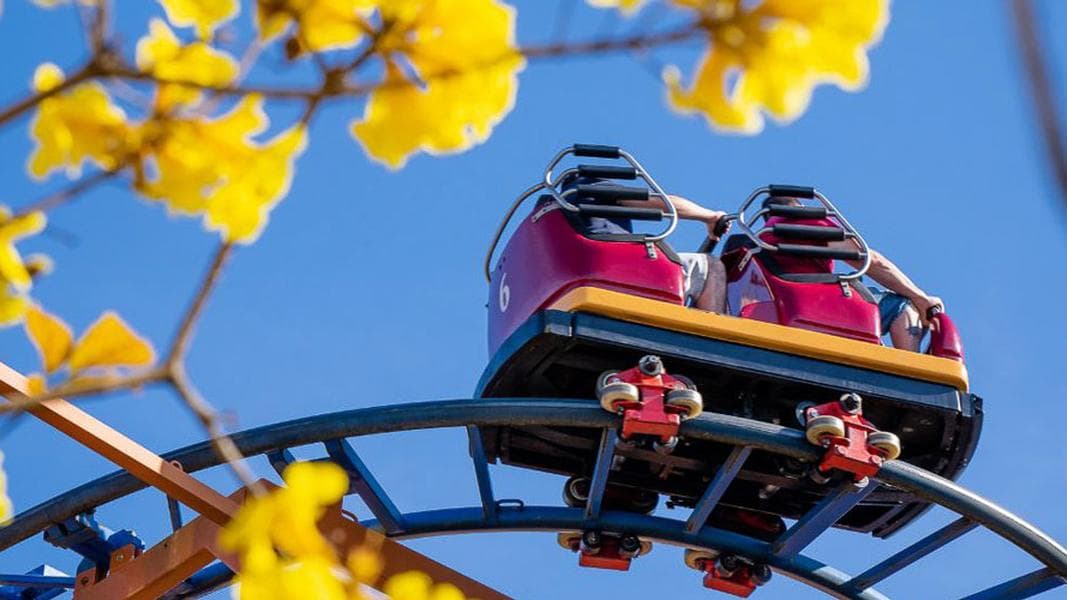 SandSerpent roller coaster being retired at Busch Gardens Tampa Bay