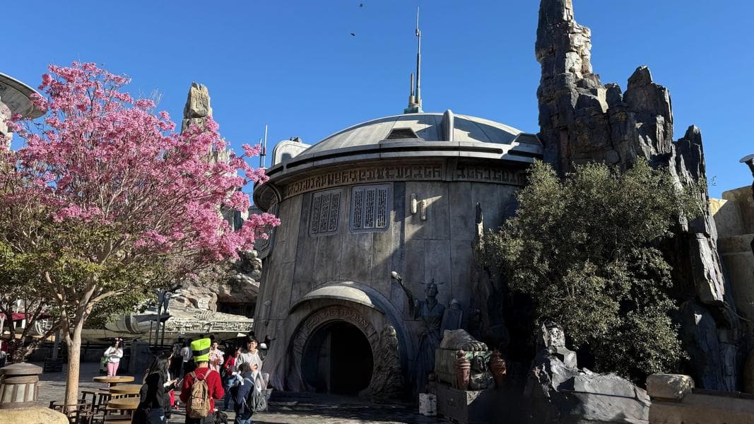Disneyland’s Dok-Ondar’s Den of Antiquities Reopens, Numerous Props Replaced
