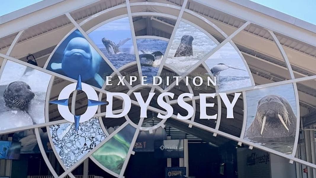 SeaWorld looks to change new ride after less than a year