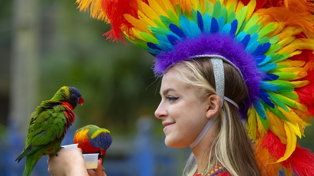 Chessington World of Adventures Resort channels its wild side