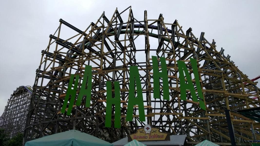 The Joker Twists, Turns, Makes Me Laugh Like a Child