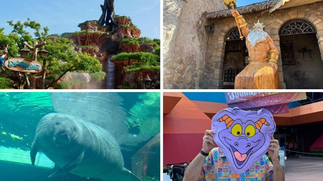 RUMOR: Disney Plans to Replace Splash Mountain at Tokyo Disneyland & More: Daily Recap (9/20/24)