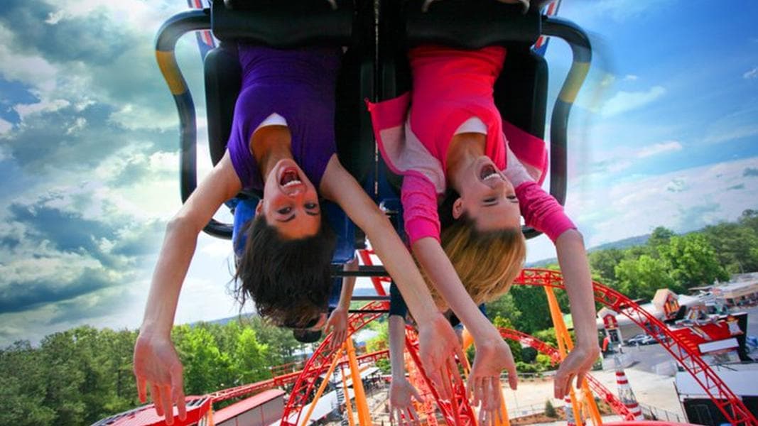 Dare Devil Dive opens this Saturday