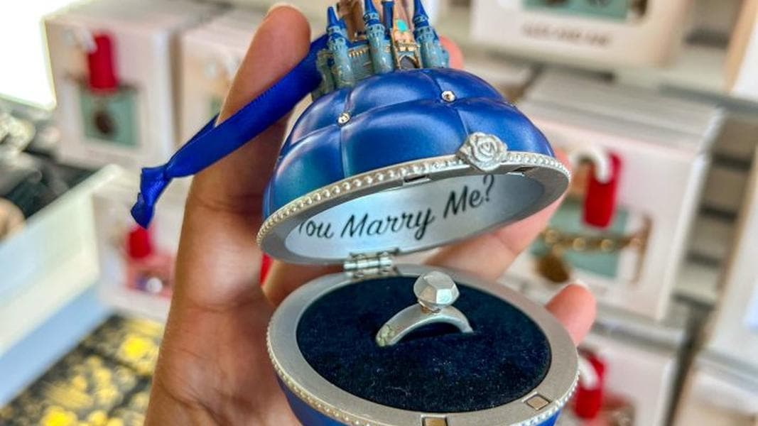 The Ultimate Guide To Proposing At Disney World for 2024