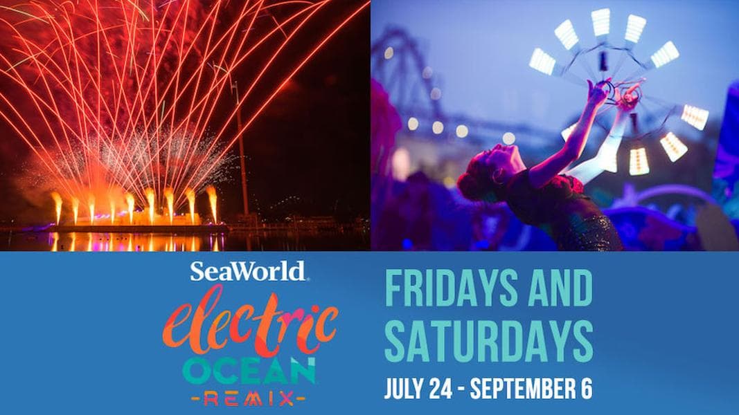 Electric Ocean returns to SeaWorld Orlando with physical distancing