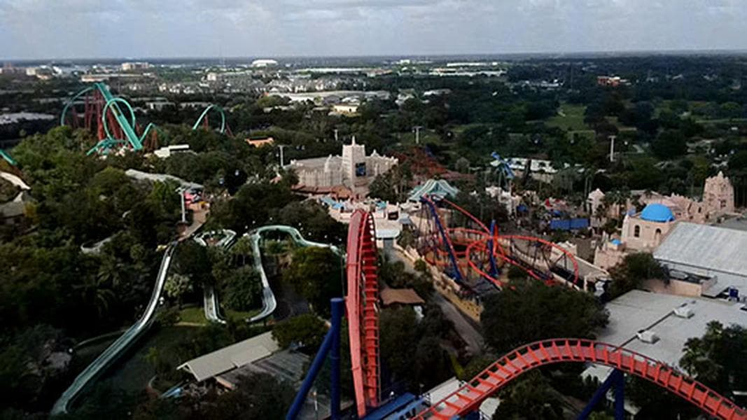 Ride-along look at Sheikra, Cheetah Hunt and Montu roller coasters at Busch Gardens