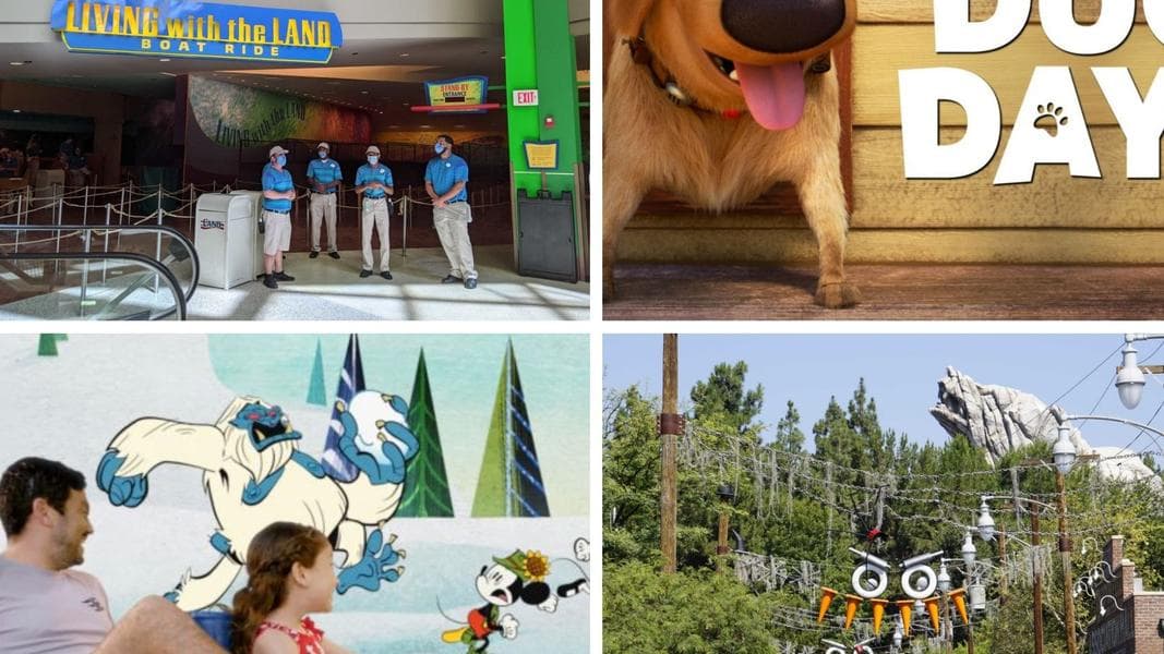 WDWNT Daily Recap (8/28/21): Living With The Land Difficulties Continue, Disney Cruise Line Shares New Details for AquaMouse, New Trailer for ‘Dug Days’ on Disney+, Cars Land Gets Decorations for Haul-O-Ween, and More