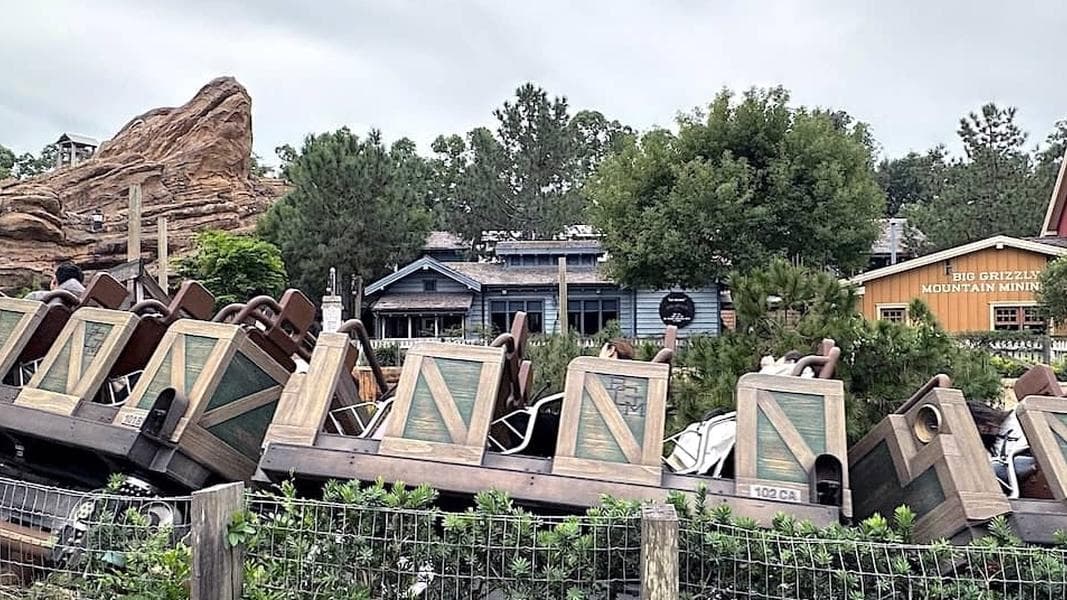 Big Grizzly brings the Thunder on Disney's roller coasters