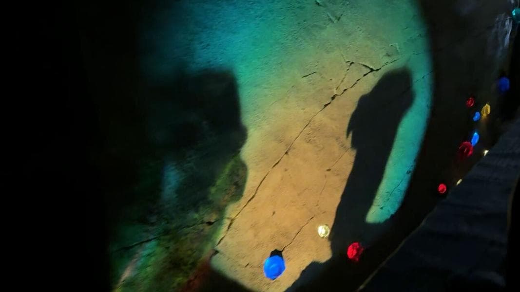 PHOTOS, VIDEO: Seven Dwarfs Mine Train Shadows Effect Updated at Magic Kingdom