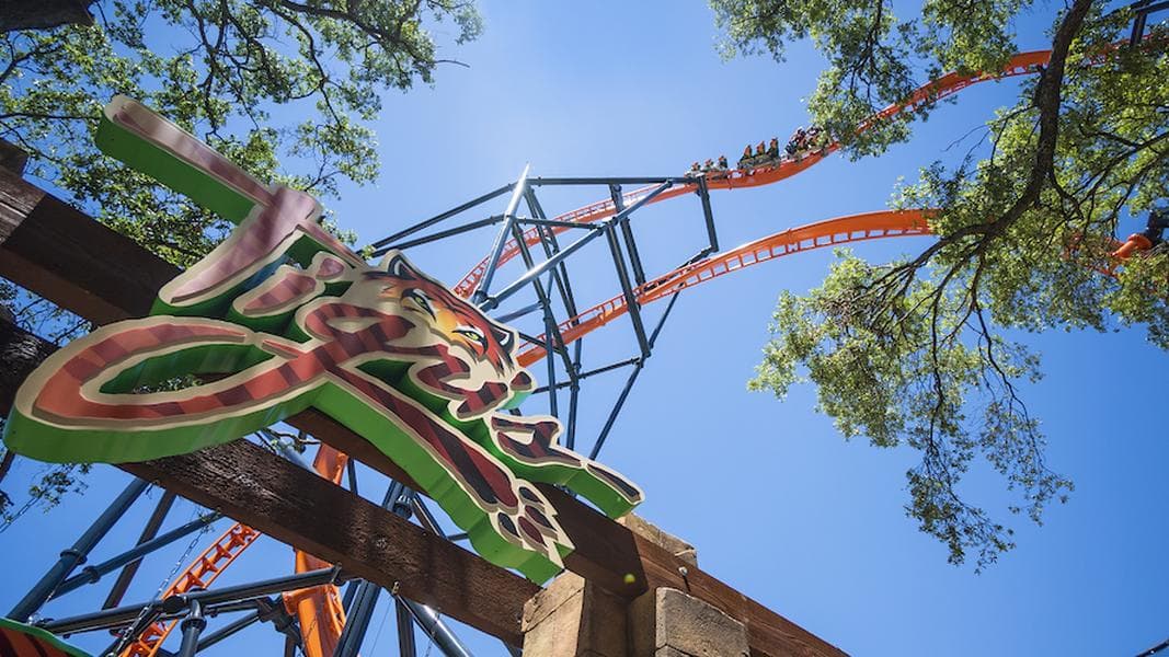 Tigris triple-launch coaster now open at Busch Gardens Tampa Bay