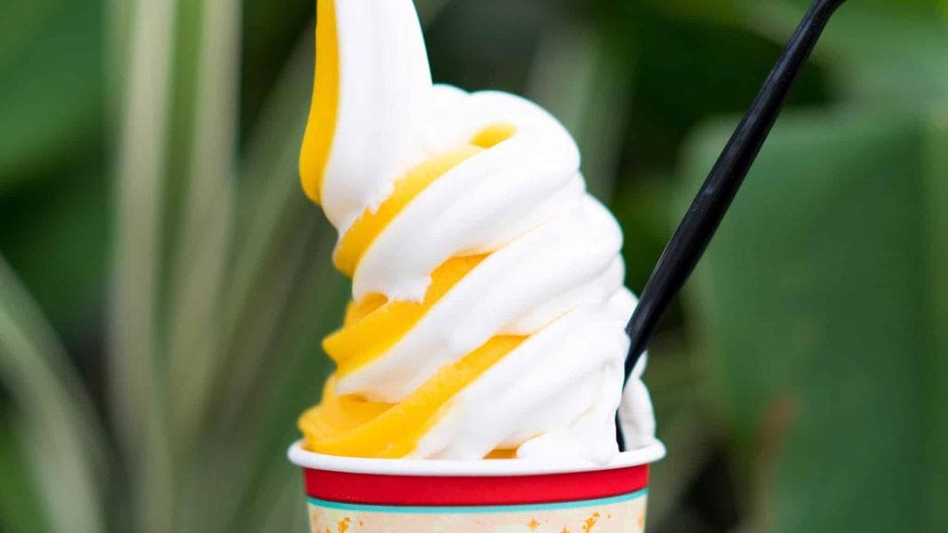 Best Walt Disney World Snacks: Top Picks for Your Visit