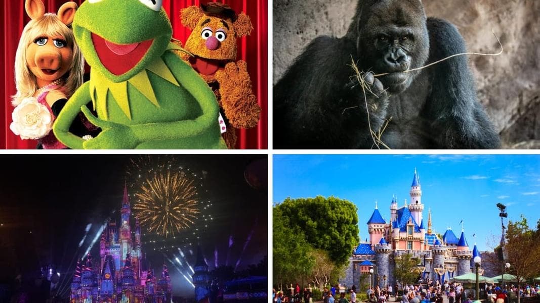 The Muppet Show Revival Confirmed: Daily Recap (9/17/25)