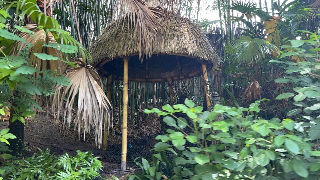 PHOTO REPORT: Magic Kingdom 7/28/21 (Final Piece of Gear Pavement Removed From Tomorrowland, Natives Removed From Jungle Cruise, New Apparel Arrives, and More)