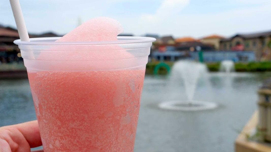 REVIEW: New Frosé Slush Brings a Refreshing Twist to Earl of Sandwich at Disney Springs