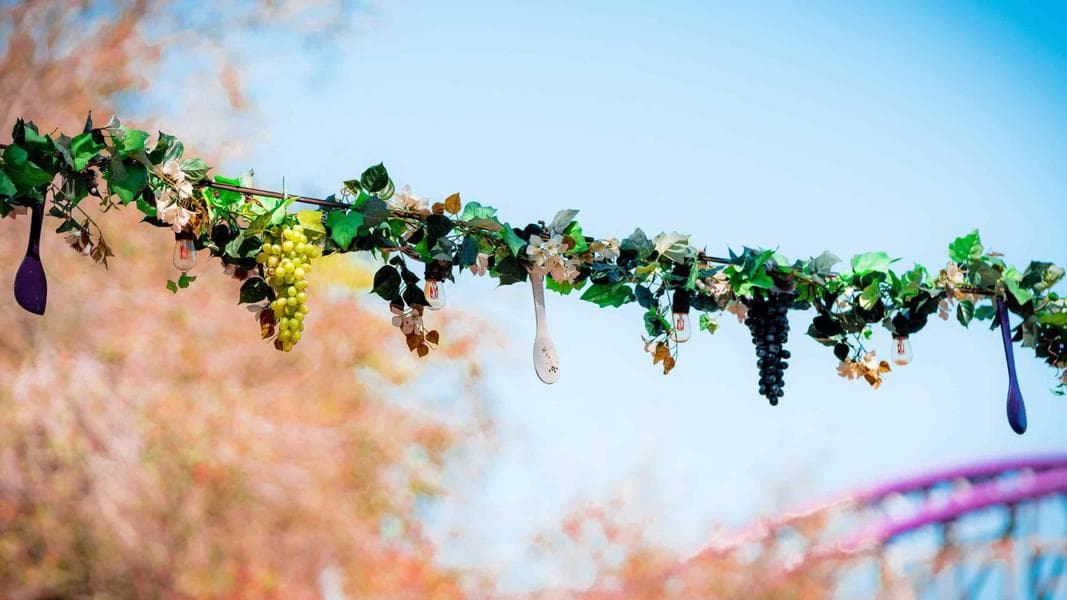 Review: Busch Gardens Tampa Bay’s Food & Wine Festival 2021