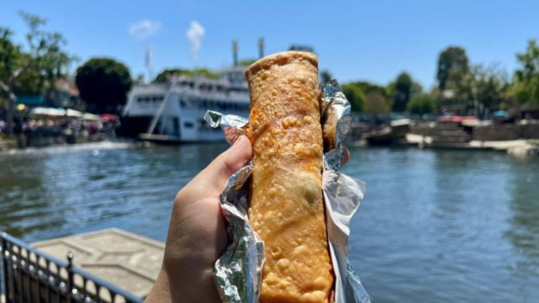 REVIEW: Is This Classic Disney Treat Still Worth Your Money?