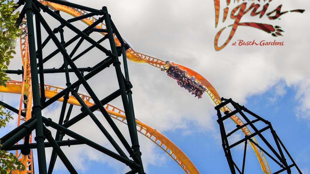 Busch Gardens Tampa to Open Tigris in 2019, Florida’s Tallest Launch Coaster
