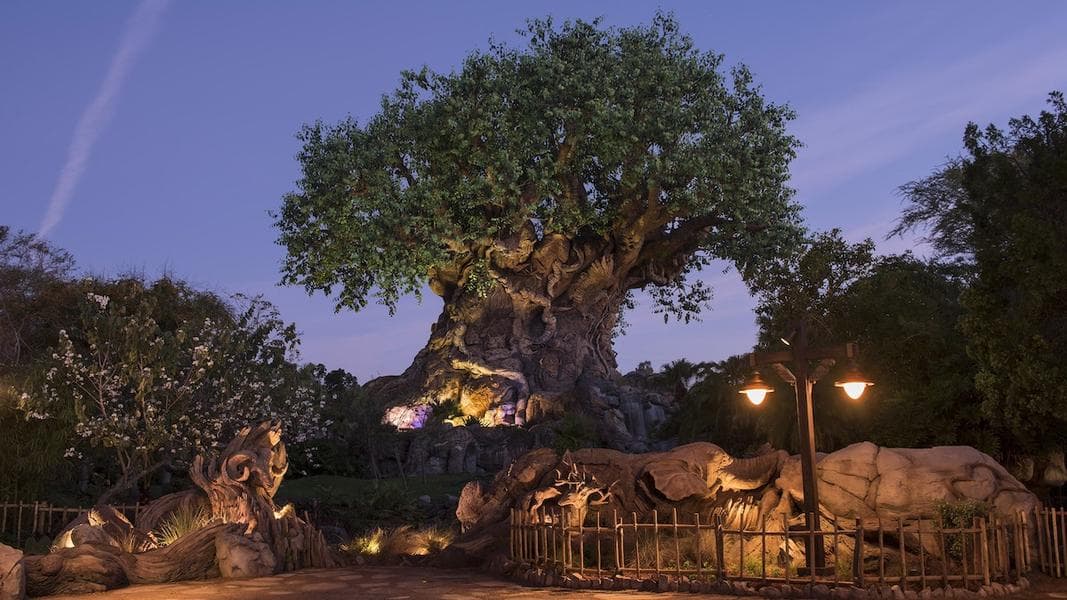 Meet some of the ‘secret’ animals at Disney’s Animal Kingdom