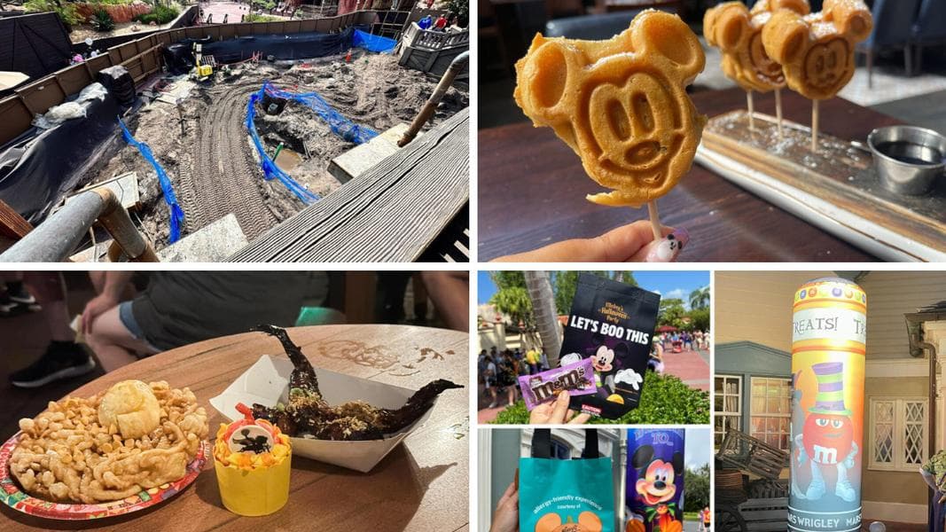 Concrete Poured at Tiana’s Bayou Adventure, Chicken Stuffed Mickey Waffles, & More: Daily Recap (8/13/23)