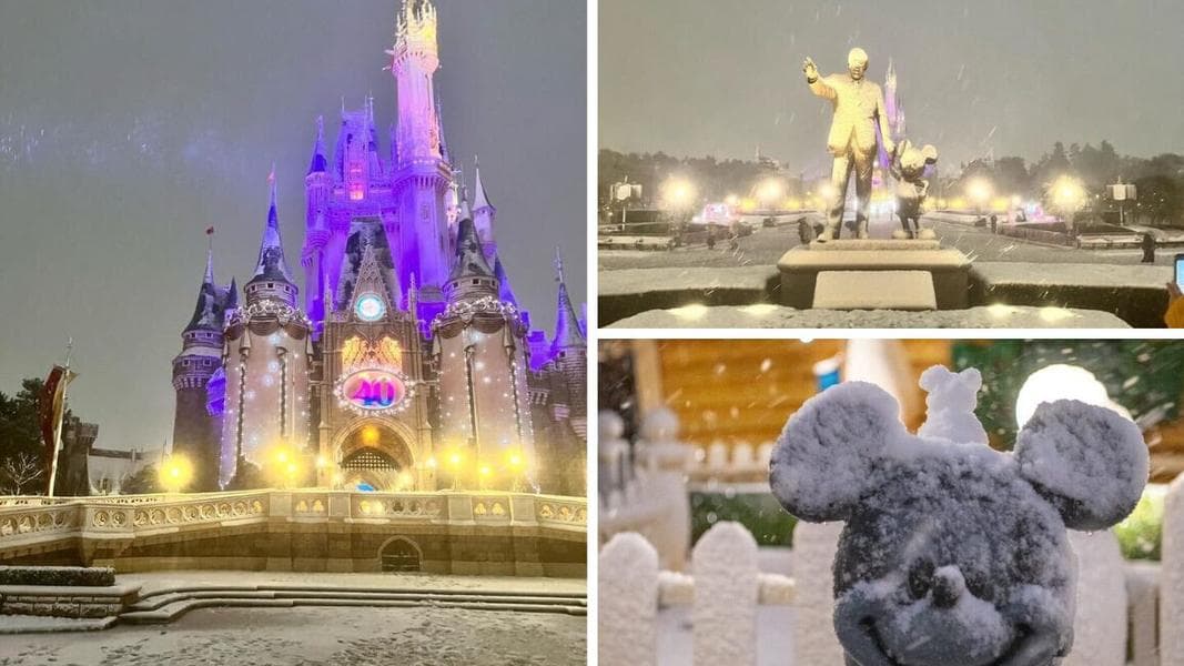 PHOTOS, VIDEO: Rare Snowfall Covers Tokyo Disney Resort
